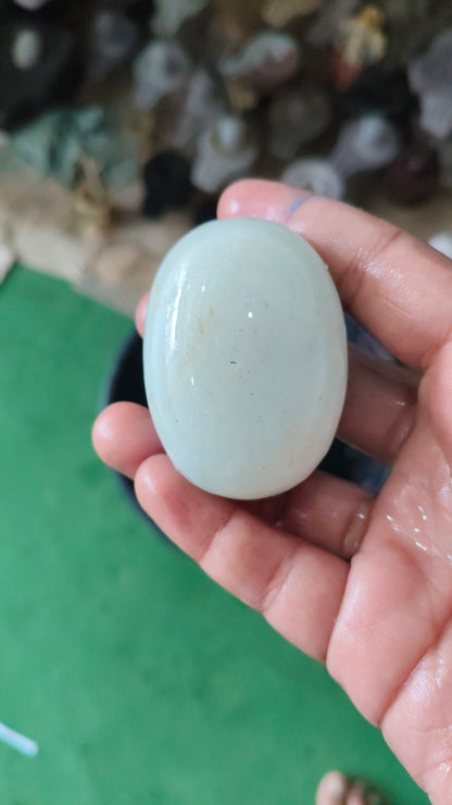 White narmdeswar with jaladhari home pooja