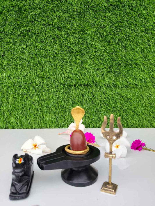 Original Narmadeshwar Shivling Full Set with Brass Damru Jaldhari, Naag, Nandi & Trishul | Natural Narmada River Stone Shiva Lingam for Home Mandir Pooja & Vastu - Narmada Narmadeshwar shivling