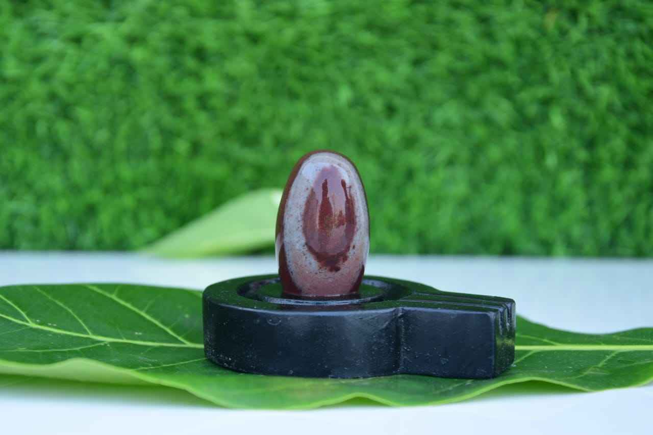 Budget-Friendly Original Narmadeshwar Shivling with Flat Brass Jaldhari Base | Affordable Natural Narmada Stone Shiva Lingam for Home Mandir Daily Pooja - Narmada Narmadeshwar shivling