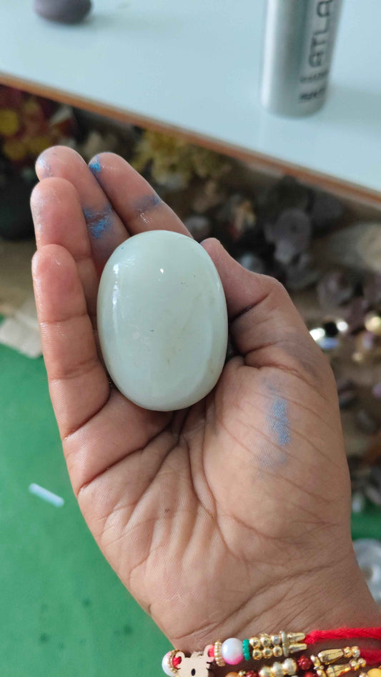 White narmdeswar with jaladhari home pooja