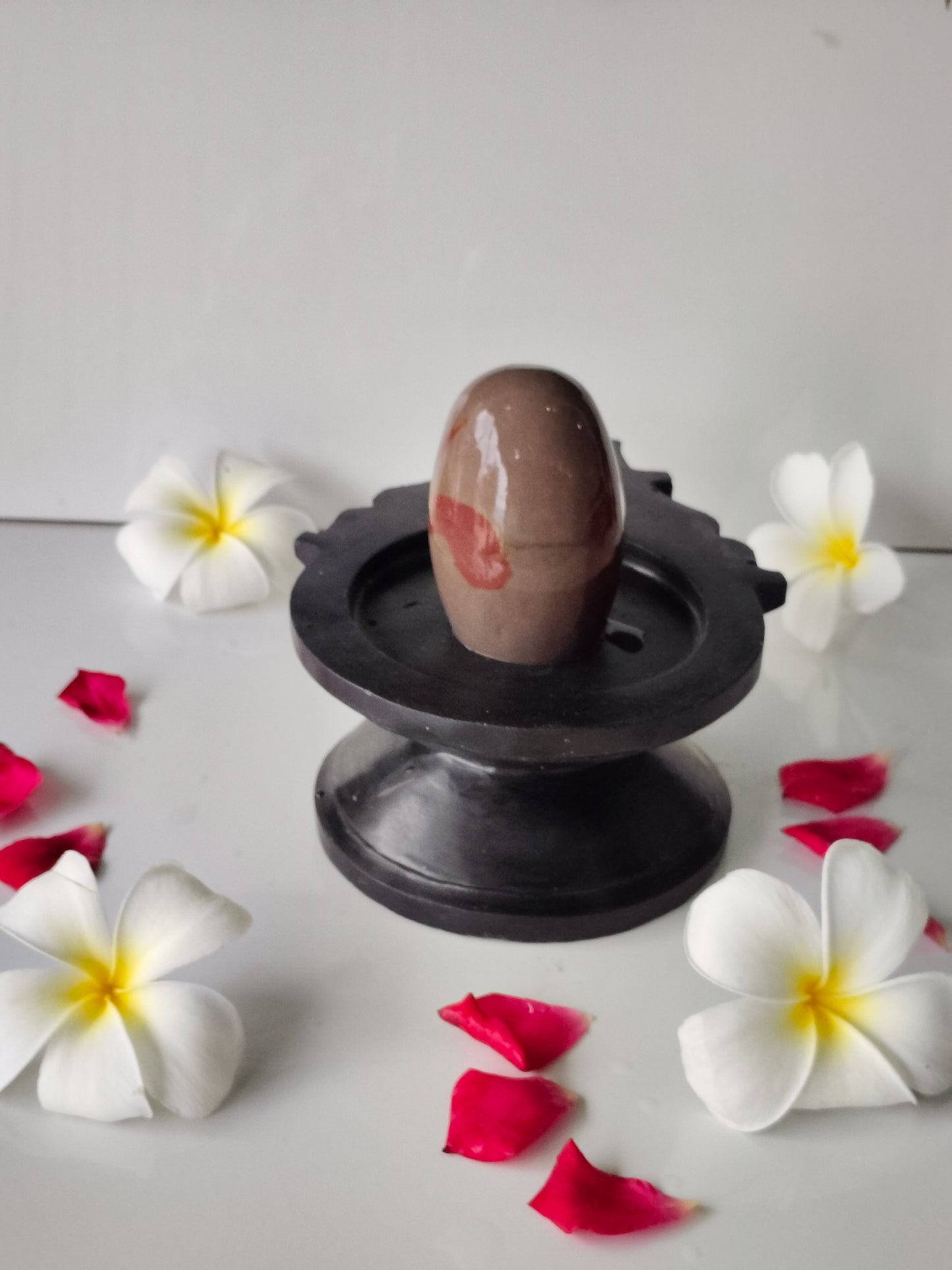 3 inch shivling with 6 inch jaladhari home pooja narmdeswar shivling