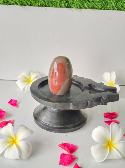 3 inch shivling with 6 inch jaladhari home pooja narmdeswar shivling