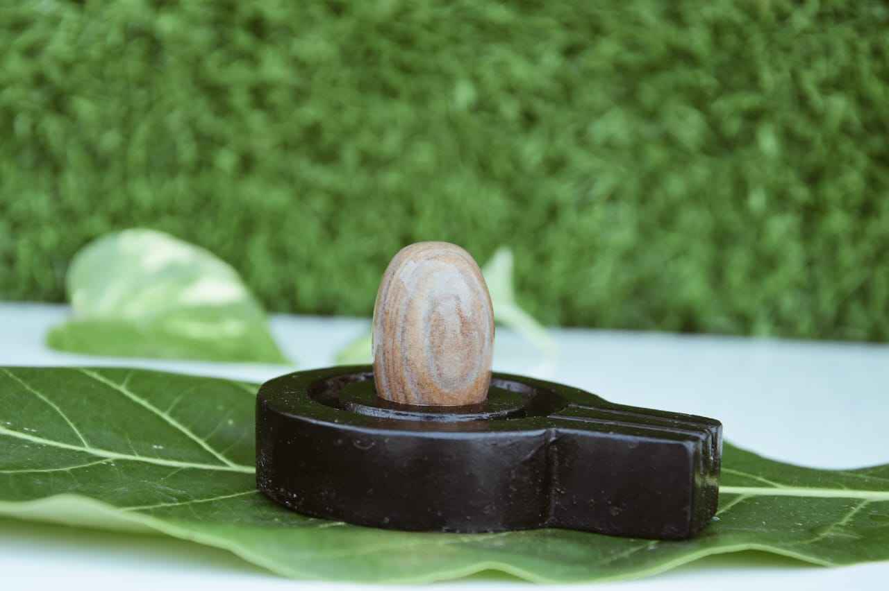 Budget-Friendly Original Narmadeshwar Shivling with Flat Brass Jaldhari Base | Affordable Natural Narmada Stone Shiva Lingam for Home Mandir Daily Pooja - Narmada Narmadeshwar shivling