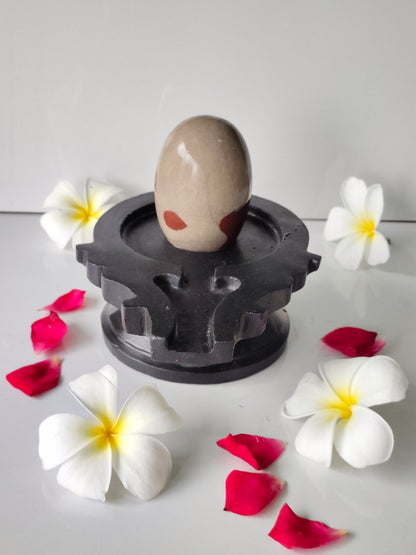 3 inch shivling with 6 inch jaladhari home pooja narmdeswar shivling