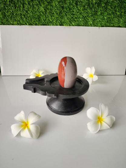 3 inch shivling with 6 inch jaladhari home pooja narmdeswar shivling