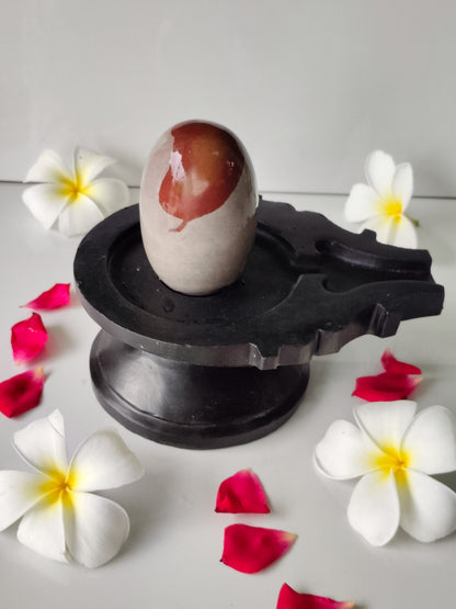 3 inch shivling with 6 inch jaladhari home pooja narmdeswar shivling