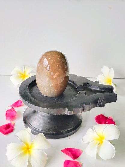 3 inch shivling with 6 inch jaladhari home pooja narmdeswar shivling