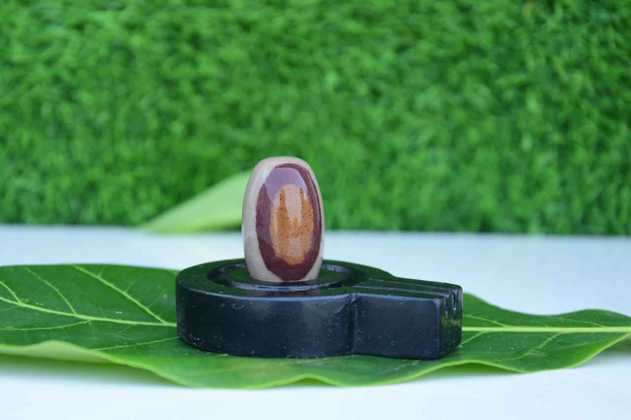 Budget-Friendly Original Narmadeshwar Shivling with Flat Brass Jaldhari Base | Affordable Natural Narmada Stone Shiva Lingam for Home Mandir Daily Pooja - Narmada Narmadeshwar shivling