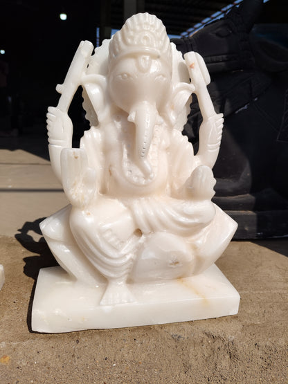 Narmdeswar shivling mandir pooja 8 inch shivling with 16 inch jaladhari