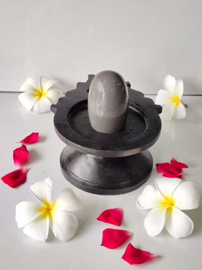 3 inch shivling with 6 inch jaladhari home pooja narmdeswar shivling