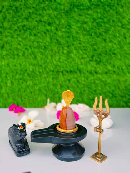 Original Narmadeshwar Shivling Full Set with Brass Damru Jaldhari, Naag, Nandi & Trishul | Natural Narmada River Stone Shiva Lingam for Home Mandir Pooja & Vastu - Narmada Narmadeshwar shivling