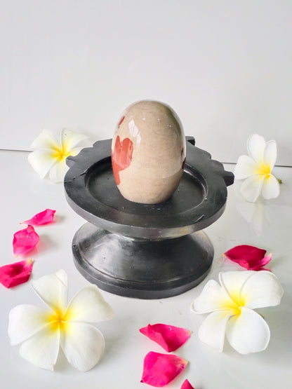 3 inch shivling with 6 inch jaladhari home pooja narmdeswar shivling