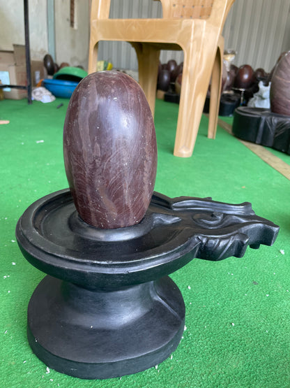 Narmdeswar shivling mandir pooja 8 inch shivling with 16 inch jaladhari
