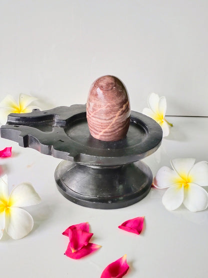 3 inch shivling with 6 inch jaladhari home pooja narmdeswar shivling