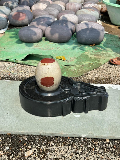 12 inch shivling with 24 inch jaladhari with 12 inch nandi mandir pooja
