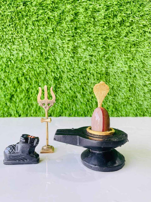 Authentic Ardhnarishwar Narmadeshwar Shivling with Brass Damru Base, Trishul, Naag & Nandi Set | Natural Narmada Stone Shiva Lingam for Home Pooja - Narmada Narmadeshwar shivling