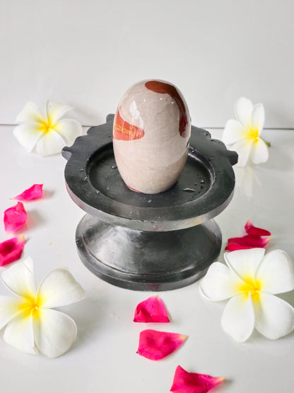 3 inch shivling with 6 inch jaladhari home pooja narmdeswar shivling
